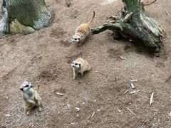 -宁波野生动物园