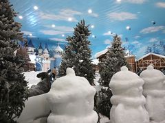 -世界之窗阿尔卑斯冰雪世界