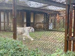 -合肥野生动物园