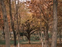-东湖公园