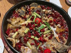 -老板恋上鱼(恒隆广场店)