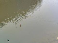 -南湖湿地公园