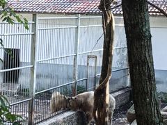 -青峰峡国家森林公园