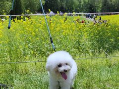 -长白岛森林公园