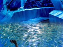 -南京维景国际大酒店(南京博物院店)