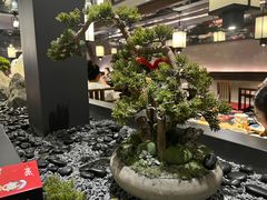 -古田居·特色寿司料理(星之岛旗舰店)