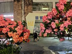 -九里香奶茶果汁(碧湖店)