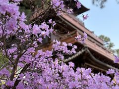 -敬亭山风景名胜区