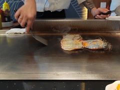 -渔乐之昕·铁板烧自助餐(虹悦城店)