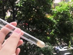 -东风公园