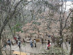 -天目湖山水园