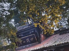 -都江堰普照寺