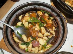 -大榕树下顺德菜(融创茂店)