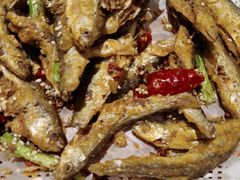 -丹江渔村(望京店)