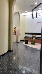 -IP SALON