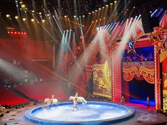 -珠海横琴长隆《卡卡虎奇遇记》