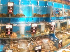 -苏大嘴海鲜牧场(奥林匹克店)