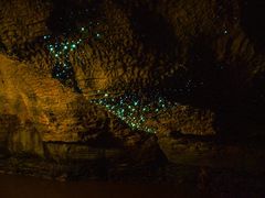 -怀托摩萤火虫洞