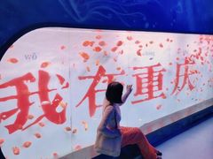-重庆欢乐海底世界