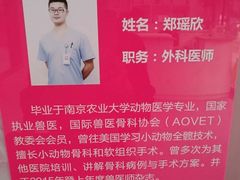 -伟伟宠物医院·CT影像中心·瑞派犬猫综合性门诊(汉口总院)