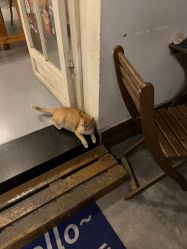 -菲林婚纱摄影工作室