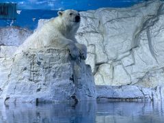 -大连老虎滩海洋公园