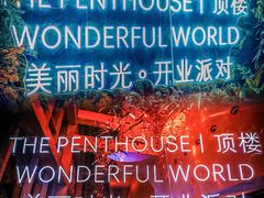 -The Penthouse酒吧