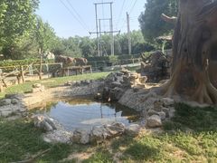 -辛玛王国游乐园