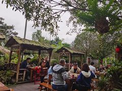 -青城甲(青城山店)