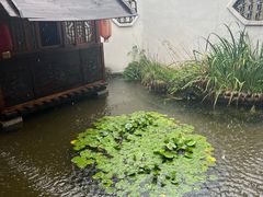 -膳和缘炒鸡店(南门路店)