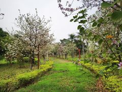 -荔湾区儿童公园