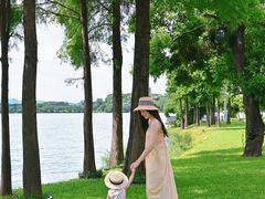 -东莞松山湖凯悦酒店