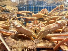 -东海怡品海鲜豆捞(星街坊店)