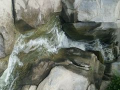 android_upload_pic-中国翰园碑林