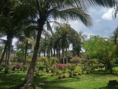-中国科学院西双版纳热带植物园