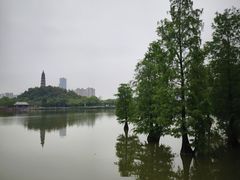 -广州市帽峰山景区