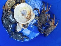 -嵊泗基湖沙滩