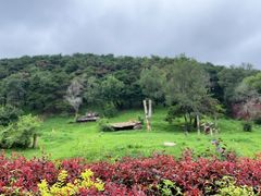 -沈阳森林动物园