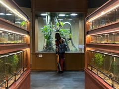 -帕帕拉兹宠物(亚洲旗舰店)