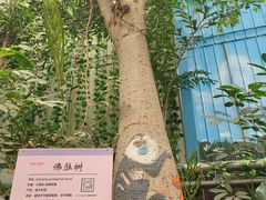 -呀路古热带植物园