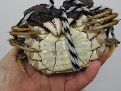 -七的湖·晚芳亭·阳澄湖农家菜·大闸蟹(莲花岛店)