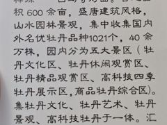 -神州牡丹园