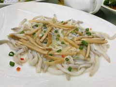 -寻味顺德·南记酒家·传统顺德菜·鱼生(广源路店)