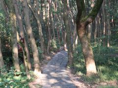 -同里国家湿地公园