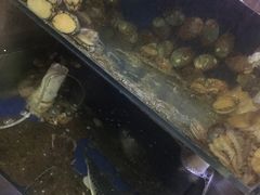 -浪花亭日本料理(古田路店)