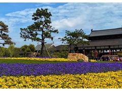 -狼山风景名胜区