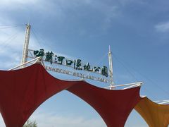 -呼兰河口湿地公园