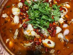 -沪小二炭火蛙锅(淮海中路美食不夜城店)