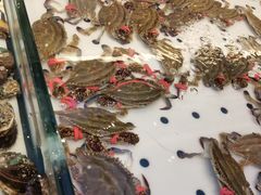 -川骄海鲜自助(河东店)