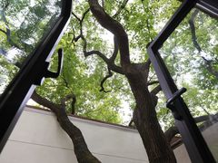 -衡山路(地铁站)